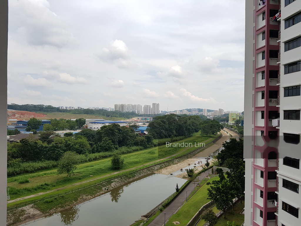 Blk 690D Choa Chu Kang Crescent (Choa Chu Kang), HDB 4 Rooms #153748662